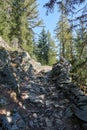 Hiking in the Swiss Alps near mount Arpille, Le Coeur, Ravoire, Valais, Switzerland in summer 2023