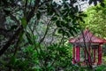 Hiking in the taiwanese jungle, natural beauty