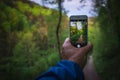 When hiking, take pictures with your mobile phone