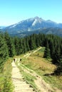 Hiking in Tatra mountains Royalty Free Stock Photo