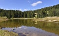 Hiking at Tipsoo Lake in Mt Rainier NP Royalty Free Stock Photo