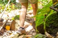 Hiking in topical jungle, river and rush topical plants, out door activity for summer break Royalty Free Stock Photo