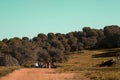 hiking tour in a natural park in spain, europe