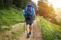 Hiking. Tourist with backpack hike along mountain trek. Sport tourism. Leisure activity. Hikers in outdoor.