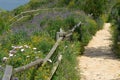 Hiking track Royalty Free Stock Photo