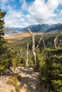 Hiking track in Arthur`s Pass National Park, New Zealand Royalty Free Stock Photo