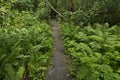 Hiking track at Egge Museum in Steinkjer in Norway