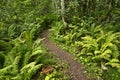 Hiking track at Egge Museum in Steinkjer in Norway