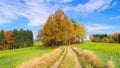 Hiking track in Elbe Sandstone Mountains Royalty Free Stock Photo