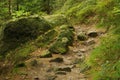 Hiking track Hirschgrundweg 12 Royalty Free Stock Photo