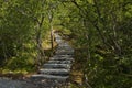 Hiking track to the mountain Torghatten in Norway