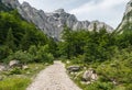 Hiking track in Triglav National Park, Slovenia Royalty Free Stock Photo