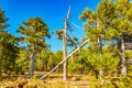 Hiking track at Troodos mountains on Cyprus Royalty Free Stock Photo