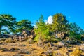Hiking track at Troodos mountains on Cyprus Royalty Free Stock Photo