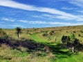 Hiking track trough meadows with bush vegetation Royalty Free Stock Photo