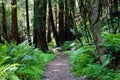 Hiking trail Royalty Free Stock Photo