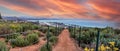 Hiking trail above Dana Point city view at sunset Royalty Free Stock Photo