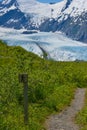 Hiking trail in Alaska