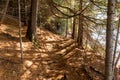 Hiking trail in the Algonquin provincial Park. Canada Royalty Free Stock Photo