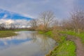 Meadow and lake with reflection of bare trees and reed in the flemish countryside Royalty Free Stock Photo