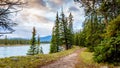 Hiking trail along the Athabasca River Royalty Free Stock Photo