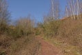 Path along bare birch trees and shrubs on Terril de l`Heribus i Mons, Walloia