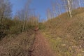 Path along bare birch trees and shrubs on Terril de l`Heribus i Mons, Walloia