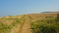 Hiking trail along a field on the ciffs on the French Northe sea coast, Royalty Free Stock Photo