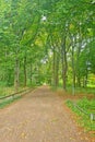 Hiking trail along the green park. Rest. Royalty Free Stock Photo