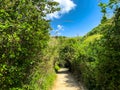 Hiking trail along the hill at Lower Galilee at spring time Royalty Free Stock Photo