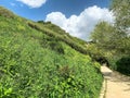 Hiking trail along the hill at Lower Galilee Royalty Free Stock Photo
