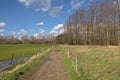 Hiking trail along meadows and forest in the flemish countryside