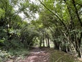 Hiking trail along the river Soca or Soca Trail (Bovec, Slovenia) - Wanderweg entlang des Flusses Soca oder Soca-Weg