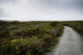 Hiking trail along the shore. Montana de Oro Bluff trail, California Royalty Free Stock Photo