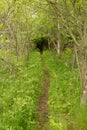 Very rustic and secluded hiking trail in woods