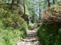 Hiking trail in Alpe Devero, Parco Naturale Veglia-Devero, Val d'Ossola, Italy. Royalty Free Stock Photo