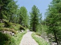 Hiking trail in Alpe Devero, Parco Naturale Veglia-Devero, Val d'Ossola, Italy. Royalty Free Stock Photo