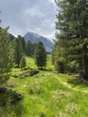 Hiking trail through the alpine tundra