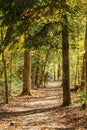 Hiking trail in Autumn in North Carolina Royalty Free Stock Photo