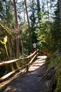 Hiking trail in a beautiful green coniferous forest with wooden barriers by the river bank and wooden stairs Royalty Free Stock Photo