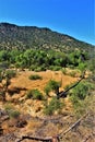 Landscape scenic view of Bell Trail, No. 13 at Wet Beaver Wilderness, Coconino National Forest, Arizona, United States