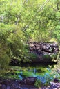 Landscape scenic view of Bell Trail, No. 13 at Wet Beaver Wilderness, Coconino National Forest, Arizona, United States Royalty Free Stock Photo