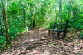 Hiking trail with a bench in Cockscomb Basin Wildlife Sanctuary, Beliz Royalty Free Stock Photo