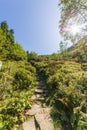 Hiking trail in Beskid Mountains in Poland at sunset on sunny day in summer Royalty Free Stock Photo