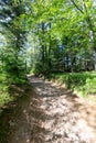 Hiking trail in Beskid Sadecki in Poland on sunny day in summer, mountain landscape