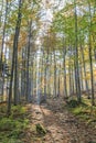 Hiking trail in the Beskid Zywiecki near Zawoja, Poland Royalty Free Stock Photo