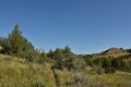 Hiking Trail Through the Black Hills in the Dakotas Royalty Free Stock Photo
