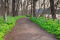 Hiking Trail Bluebells Riverbend Virginia Royalty Free Stock Photo