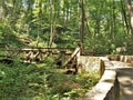 Hiking Trail Bridge in Joyce Kilmer National Forest Royalty Free Stock Photo