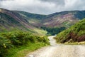 Hiking trail in Cairngorms National Park. Angus, Scotland, UK.